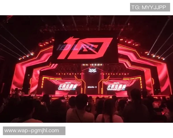 JDG战队精英赛背后的奋斗历程与荣耀时刻全景回顾