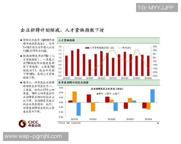 重磅专题探讨FPX如何实现运营革新与行业领先地位的策略分析